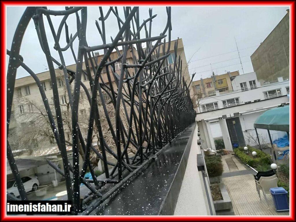حفاظ شاخ گوزنی در میمه