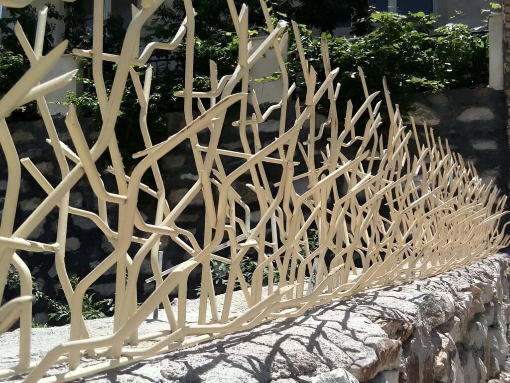 حفاظ شاخ گوزنی در لنجان