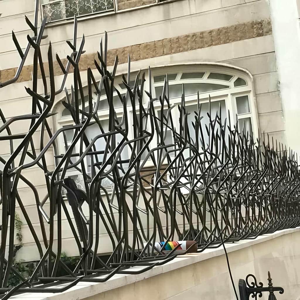 حفاظ شاخ گوزنی و کاربردهای آن در اصفهان