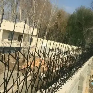 حفاظ شاخ گوزنی تراکم 31 در اصفهان حفاظ شاخ گوزنی تراکم 31 در اصفهان