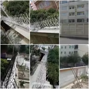 حفاظ شاخ گوزنی چیست؟ بررسی تخصصی نرده حفاظ دیوار در اصفهان حفاظ شاخ گوزنی چیست؟ بررسی تخصصی نرده حفاظ دیوار در اصفهان