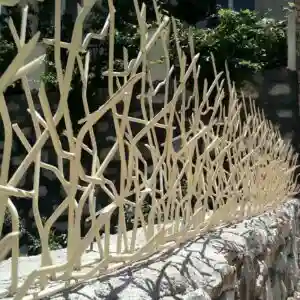 حفاظ شاخ گوزنی ارزان در اصفهان