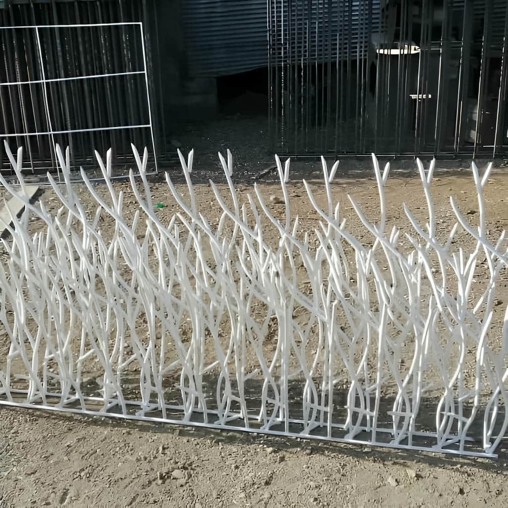 خرید حفاظ بوته ای پرتراکم متناسب با تاج دیوار در اصفهان خرید حفاظ بوته ای پرتراکم متناسب با تاج دیوار در اصفهان