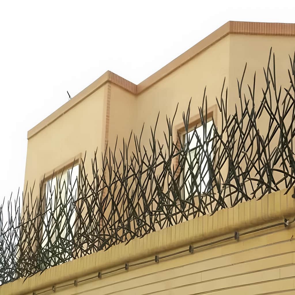 حفاظ بوته ای دیوار شاخهبلند با پوشش گسترده در اصفهان حفاظ بوته ای دیوار شاخهبلند با پوشش گسترده در اصفهان