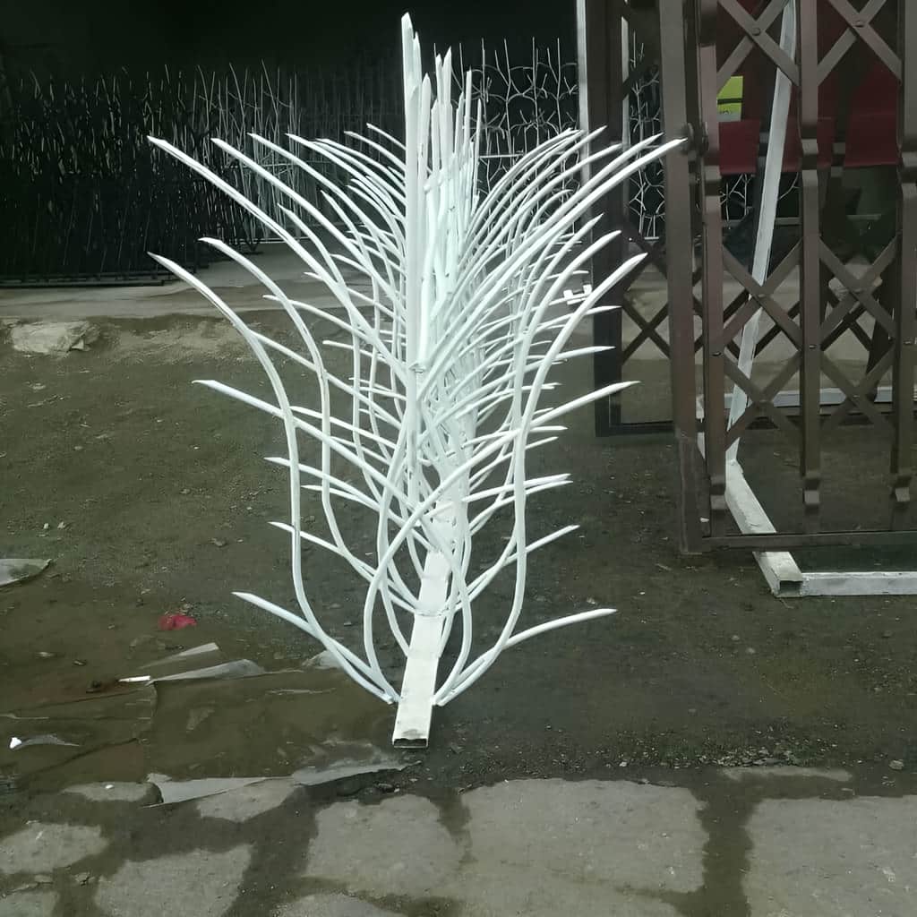 حفاظ نیزار کم‌عرض برای دیوار باغ با تاج محدود در اصفهان