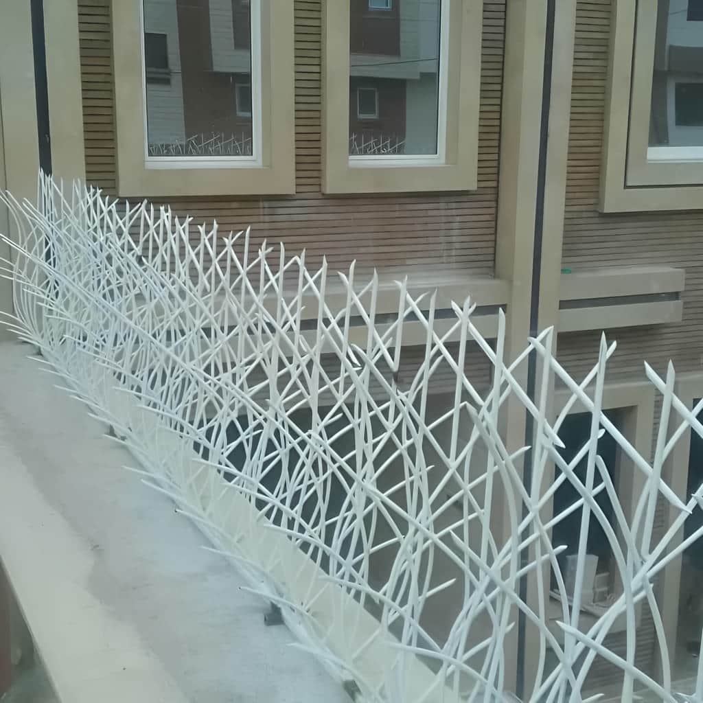 حفاظ نیزار دیوار باغ با شاخه‌های عمودی منظم در اصفهان