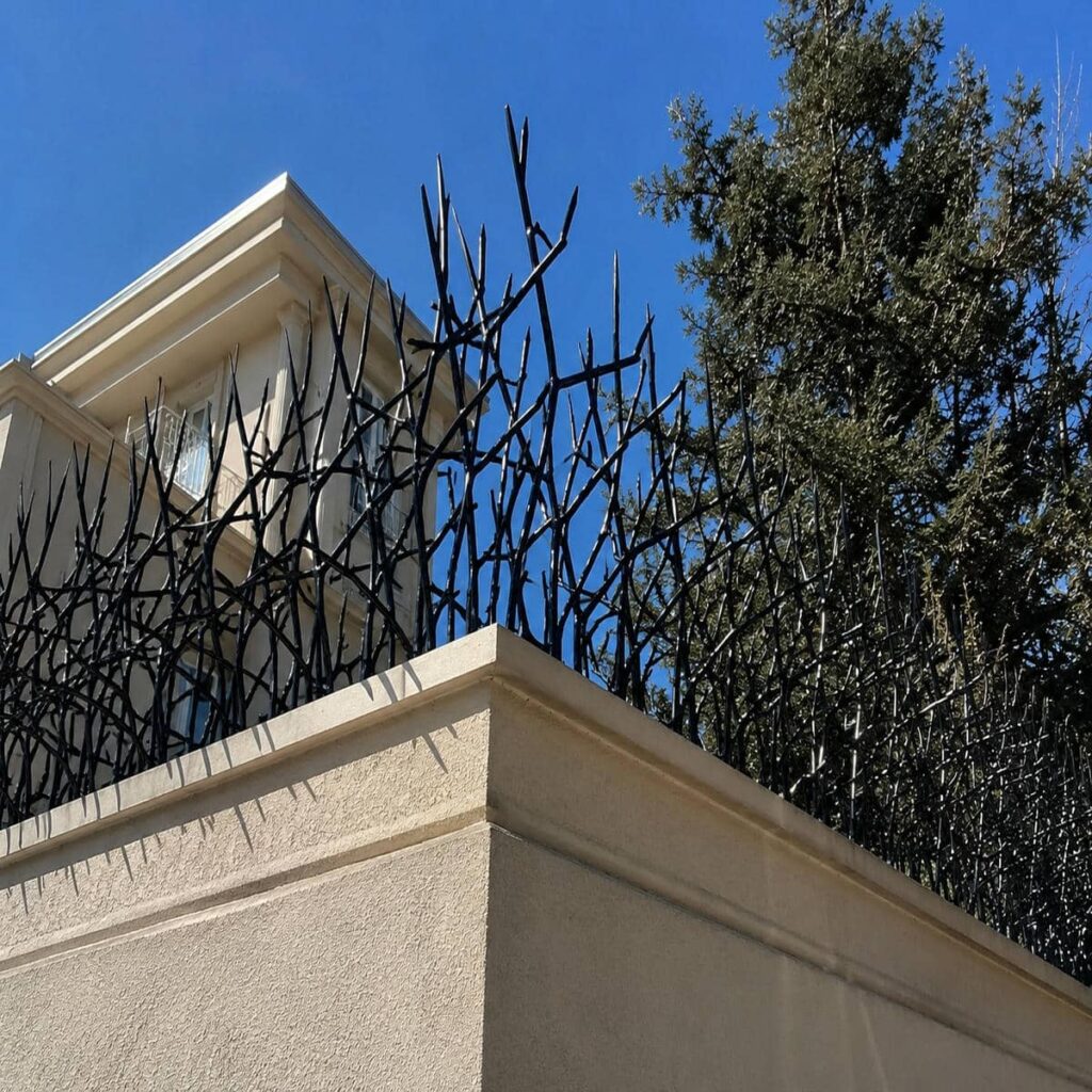 حفاظ روی دیوار باغ محوطه نیزاری با شاخههای عمودی در اصفهان حفاظ روی دیوار باغ محوطه نیزاری با شاخههای عمودی در اصفهان