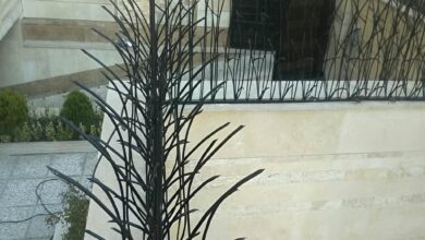12 مدل حفاظ نیزار دیوار باغ در اصفهان