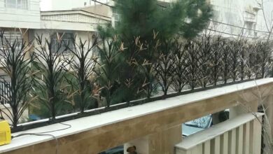 حفاظ لیلیوم مشکی هماهنگ با نمای سنگی اصفهان